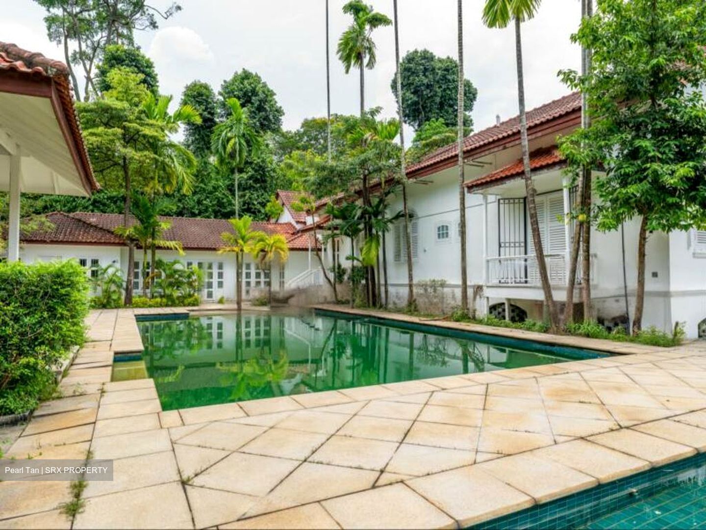 Nassim Road (D10), Detached #441219761